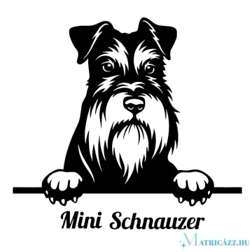 Mini Schnauzer matrica