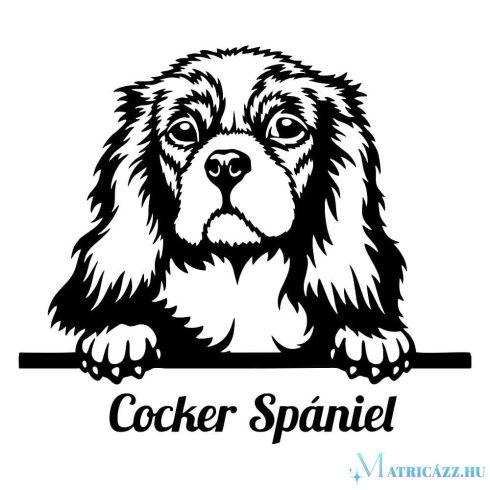 Cocker Spániel matrica 30 cm