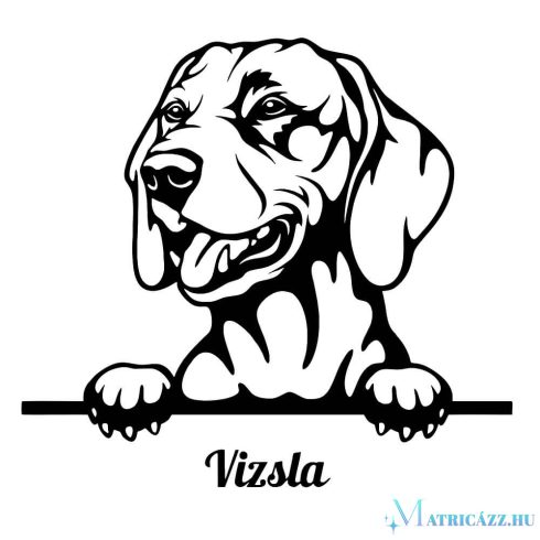 Vizsla matrica 16