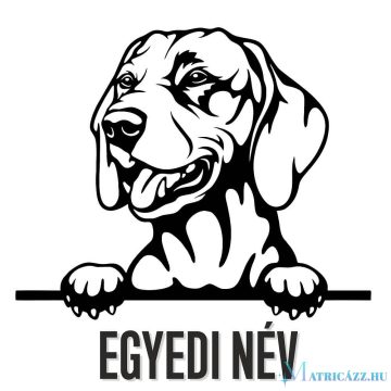 Egyedi neves Vizsla matrica