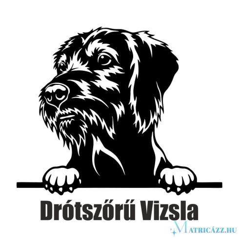 Drótszőrű Vizsla matrica