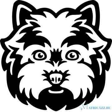 Westie matrica 7