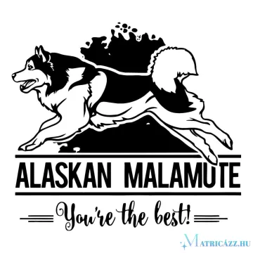 Alaszkai malamut matrica 30 cm