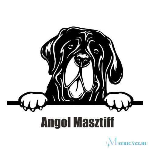 Angol masztiff matrica 1