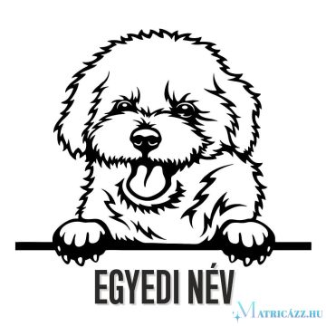 Egyedi neves Bichon Frise matrica