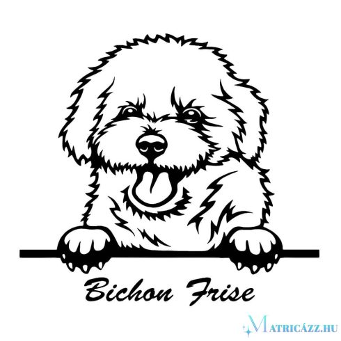 Bichon Frise matrica 2