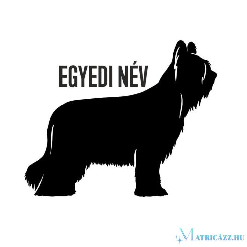 Briard matrica egyedi névvel