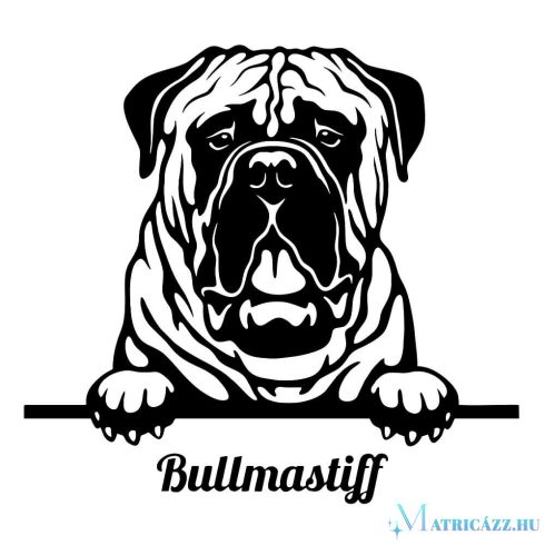 Bullmasztiff matrica 2