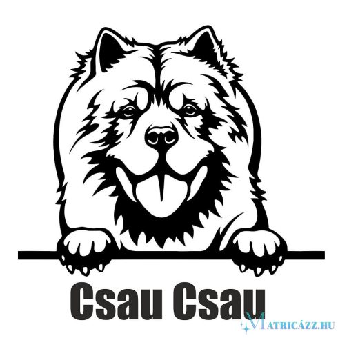 Csau Csau matrica 1