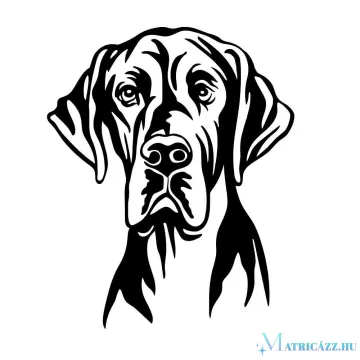 Dán dog matrica 4