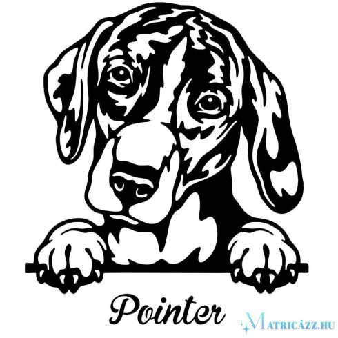 Pointer matrica 3