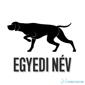 Egyedi neves Pointer matrica