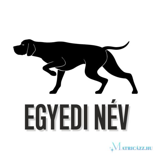 Egyedi neves Pointer matrica