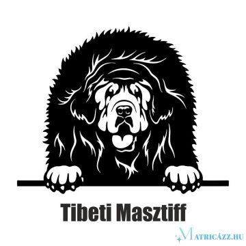 Tibeti masztiff matrica 2