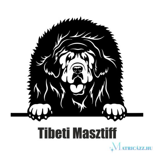 Tibeti masztiff matrica 2