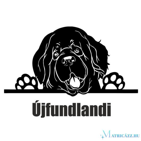 Újfundlandi matrica 3