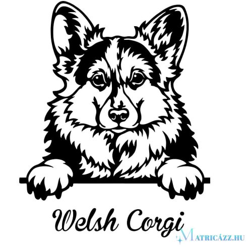 Welsh Corgi matrica 4