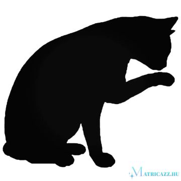 Tisztálkodó Macska matrica