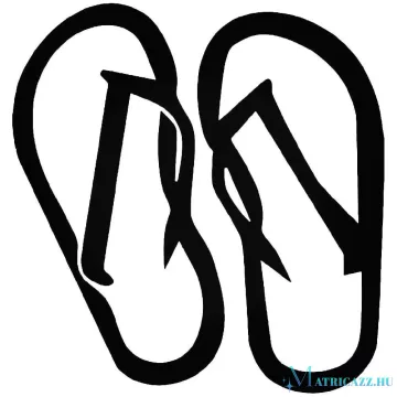 Flip Flop Autómatrica