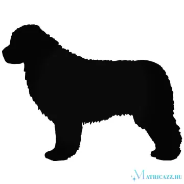 Újfundlandi Kutya matrica