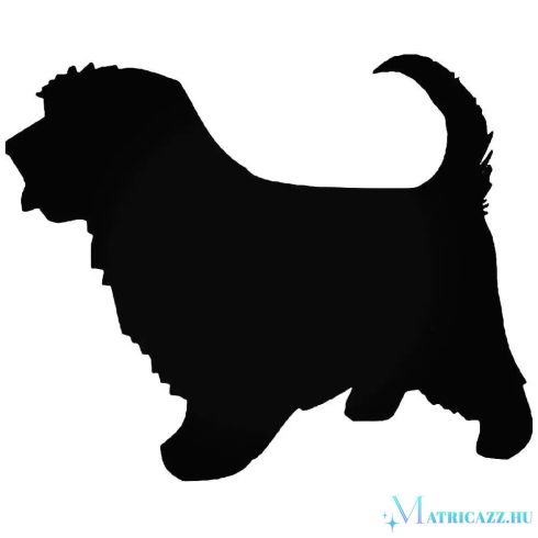 Norfolk Terrier matrica