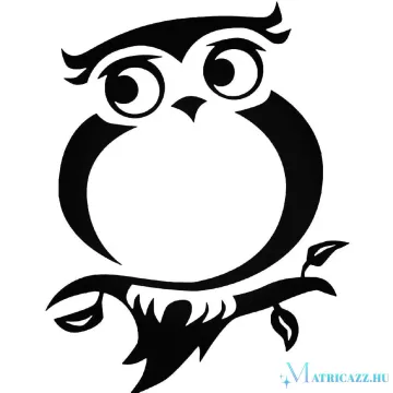 Bagolyka "2" matrica