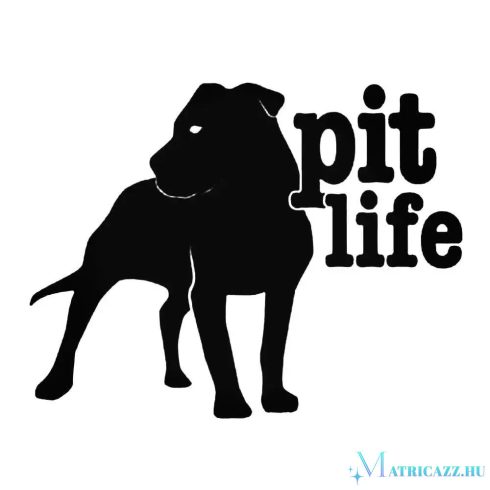 Pit Life "1" matrica
