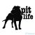 Pit Life "1" matrica