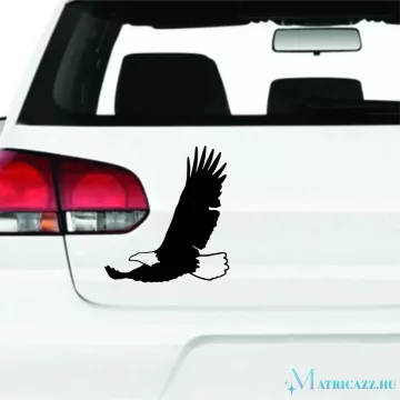 Szálló Sas Matrica