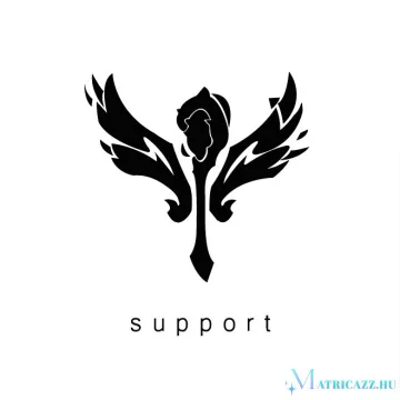 Support LOL matrica