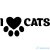 I love cats matrica