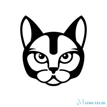 Mérges macska matrica 1
