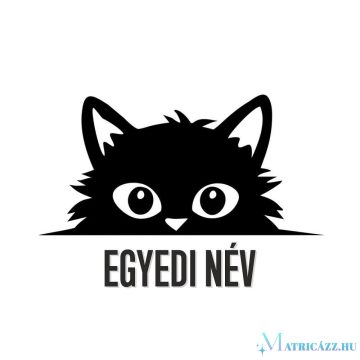 Egyedi neves macska matrica