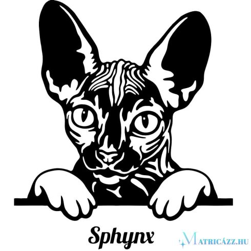 Szfinx macska matrica