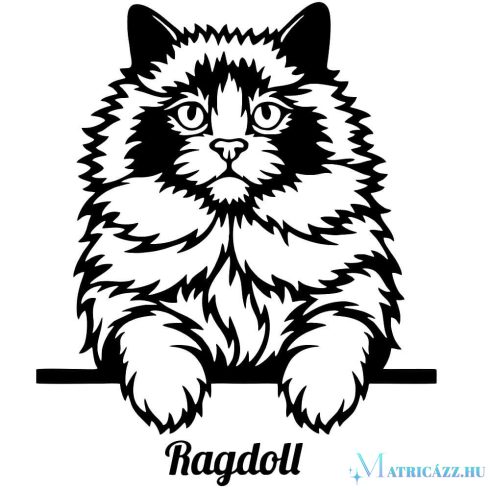 Ragdoll macska matrica