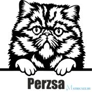 Perzsa macska matrica