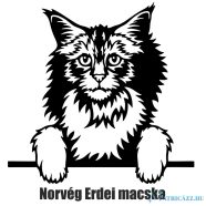 Norvég erdei macska matrica