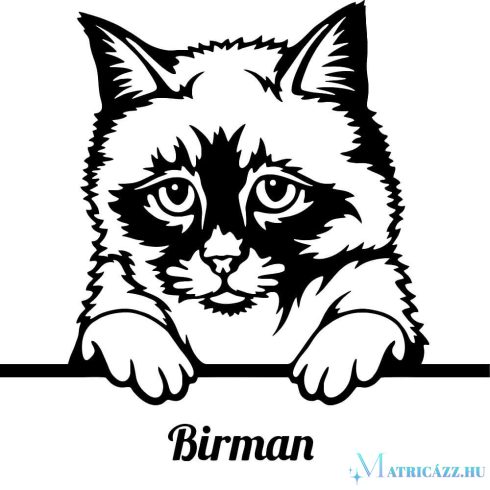 Birman macska matrica