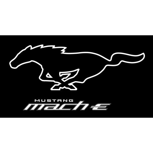 Ford Mustang Mach-E matrica
