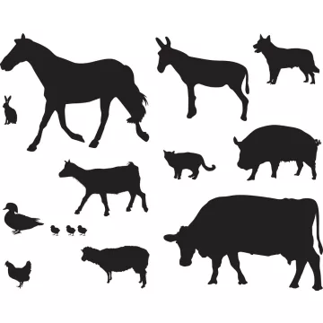 Farmi állatok piktogram matrica szett