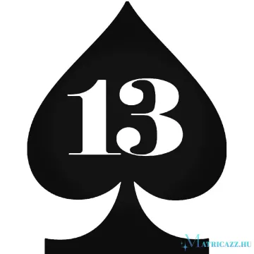 13 Pikk matrica